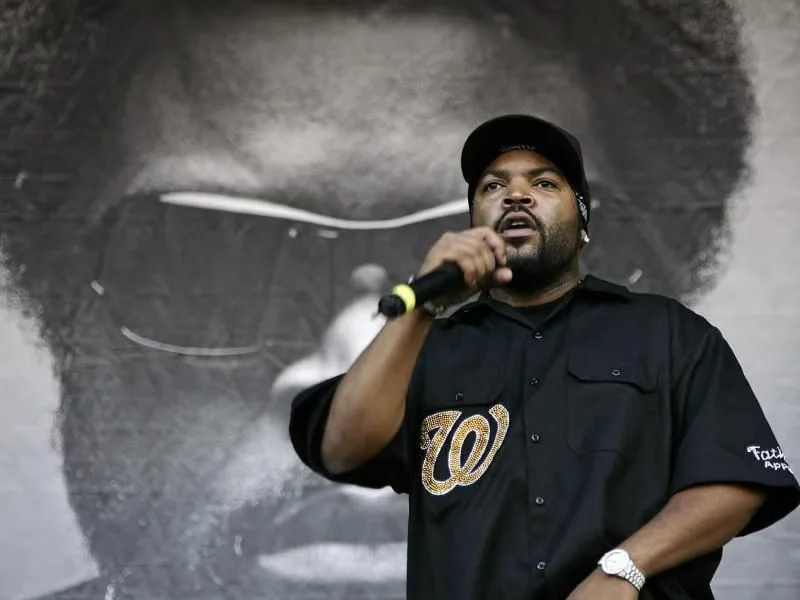 ice cube net worth