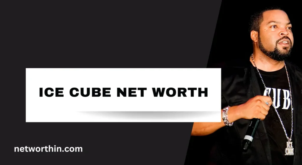 ice cube net worth