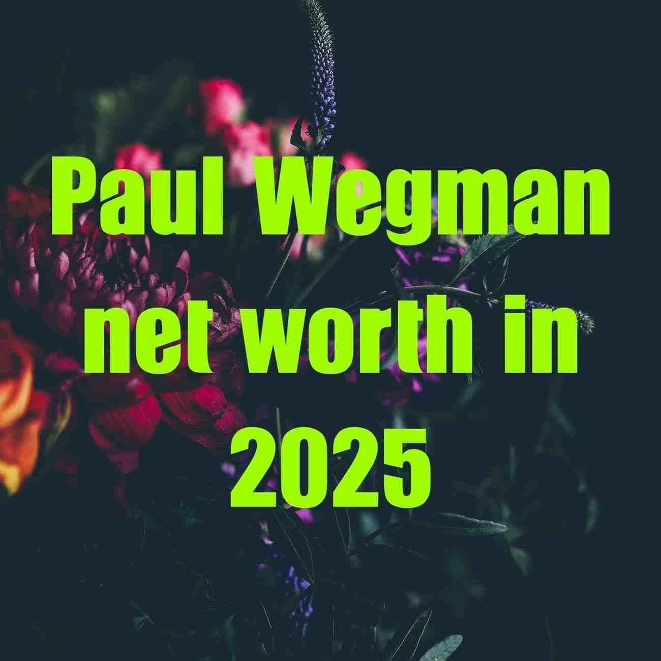 Paul Wegman Net Worth 2025: